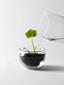 Grow Mini Invernadero Design House Stockholm | Tienda online de decoración nórdica y muebles nórdicos | Aixo