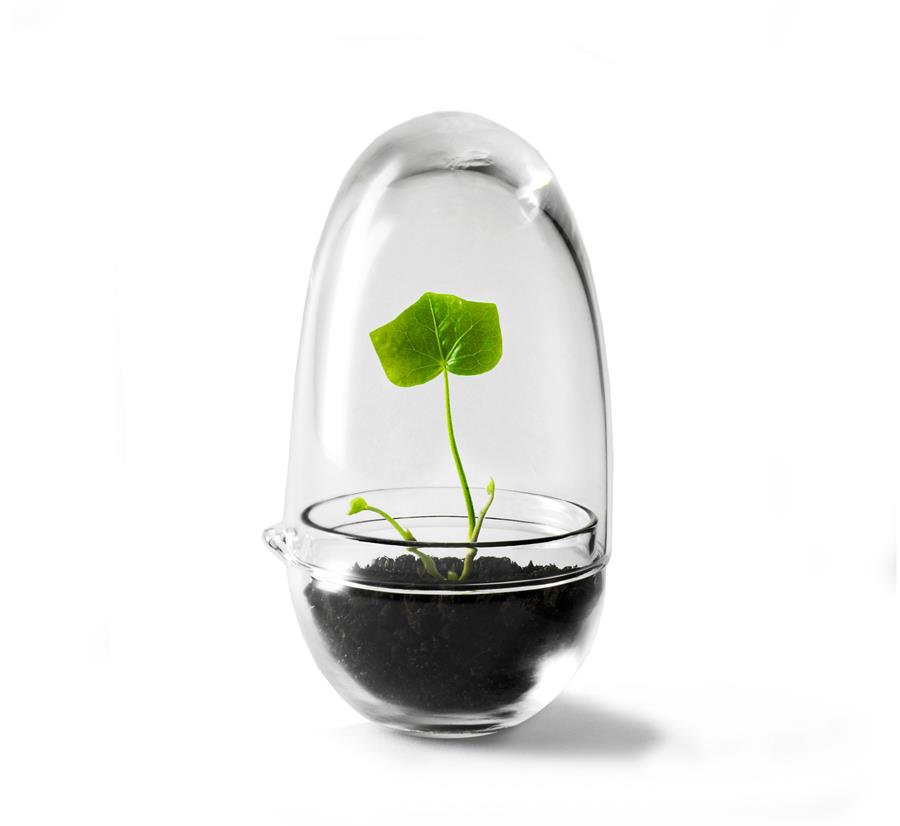 Grow Mini Invernadero Design House Stockholm | Tienda online de decoración nórdica y muebles nórdicos | Aixo