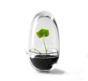Grow Mini Invernadero Design House Stockholm | Tienda online de decoración nórdica y muebles nórdicos | Aixo